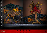 PRE-ORDER: Hot Toys Alien: Romulus Scorched Xenomorph Sixth Scale Figure