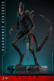 PRE-ORDER: Hot Toys Alien: Romulus Scorched Xenomorph Sixth Scale Figure