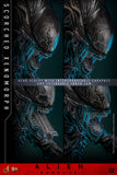 PRE-ORDER: Hot Toys Alien: Romulus Scorched Xenomorph Sixth Scale Figure