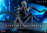 PRE-ORDER: Hot Toys Alien: Romulus Scorched Xenomorph Sixth Scale Figure