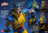Honō Studio Marvel Wolverine Unmasked Sixth Scale Figure - Hot Toys