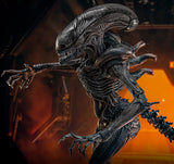 PRE-ORDER: Hot Toys Alien: Romulus Scorched Xenomorph Sixth Scale Figure