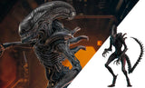 PRE-ORDER: Hot Toys Alien: Romulus Scorched Xenomorph Sixth Scale Figure