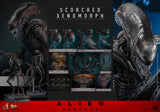 PRE-ORDER: Hot Toys Alien: Romulus Scorched Xenomorph Sixth Scale Figure