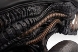 PRE - ORDER: Hollywood Collectibles Group Aliens Xenomorph Life - Size Bust - collectorzown