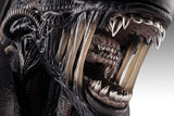 PRE - ORDER: Hollywood Collectibles Group Aliens Xenomorph Life - Size Bust - collectorzown