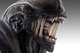 PRE - ORDER: Hollywood Collectibles Group Aliens Xenomorph Life - Size Bust - collectorzown
