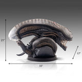 PRE - ORDER: Hollywood Collectibles Group Aliens Xenomorph Life - Size Bust - collectorzown