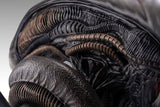 PRE - ORDER: Hollywood Collectibles Group Aliens Xenomorph Life - Size Bust - collectorzown