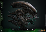 PRE - ORDER: Hot Toys Alien Big Chap Sixth Scale Figure - collectorzown