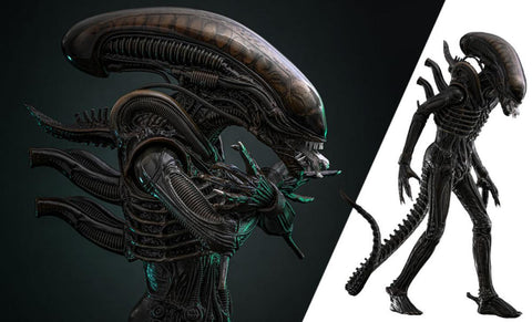 PRE - ORDER: Hot Toys Alien Big Chap Sixth Scale Figure - collectorzown