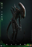 PRE - ORDER: Hot Toys Alien Big Chap Sixth Scale Figure - collectorzown