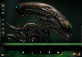 PRE - ORDER: Hot Toys Alien Big Chap Sixth Scale Figure - collectorzown