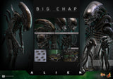 PRE - ORDER: Hot Toys Alien Big Chap Sixth Scale Figure - collectorzown