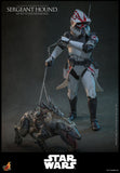 PRE - ORDER: Hot Toys Star Wars: The Clone Wars Sergeant Hound Sixth Scale Figure - collectorzown