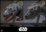 PRE - ORDER: Hot Toys Star Wars: The Clone Wars Sergeant Hound Sixth Scale Figure - collectorzown