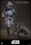 PRE - ORDER: Hot Toys Star Wars: The Clone Wars Sergeant Hound Sixth Scale Figure - collectorzown