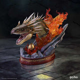 PRE - ORDER: Nemesis Now Harry Potter: Hungarian Horntail Bust - collectorzown