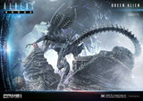 Prime 1 Premium Masterline Aliens (Comics) Queen Alien "Battle Diorama" Statue - collectorzown