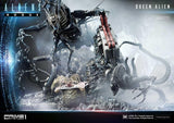 Prime 1 Premium Masterline Aliens (Comics) Queen Alien "Battle Diorama" Statue - collectorzown