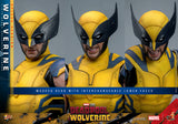 Hot Toys Deadpool 3: Wolverine (Deluxe Version) Sixth Scale Figure