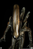 PRE-ORDER: PCS Collectibles Alien Big Chap (Deluxe Edition) 1:2 Scale Statue