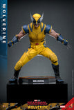 Hot Toys Deadpool 3: Wolverine Sixth Scale Figure