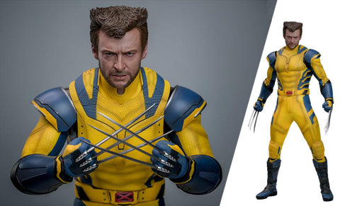 Hot Toys Deadpool 3: Wolverine (Deluxe Version) Sixth Scale Figure