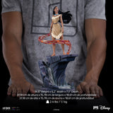 PRE-ORDER: Iron Studios Disney Classics Pocahontas: Pocahontas Colors of the Wind ver. Art Scale 1/10 Statue