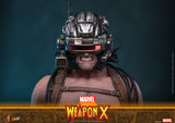 PRE-ORDER: Hot Toys Marvel Comics Weapon X Sixth Scale Figure