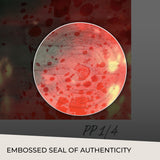 PRE-ORDER: Sideshow Collectibles DC Comics Punchline Art Print by artist InHyuk Lee 24" H x 18" W - Limited Edition of 150