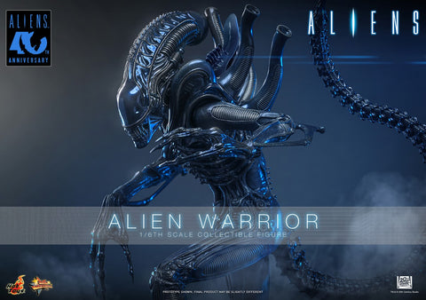 PRE-ORDER: Hot Toys Aliens: Alien Warrior Sixth Scale Figure