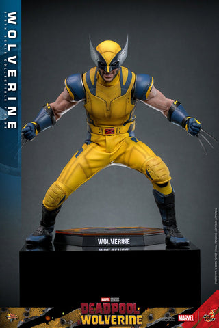 Hot Toys Deadpool 3: Wolverine Sixth Scale Figure