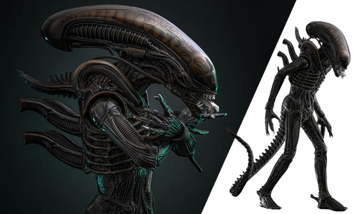 pre-order-hot-toys-alien-big-