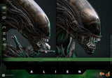 PRE - ORDER: Hot Toys Alien Big Chap Sixth Scale Figure - collectorzown