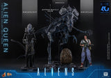PRE-ORDER: Hot Toys Aliens: Alien Queen Sixth Scale Figure - collectorzown
