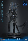 PRE-ORDER: Hot Toys Aliens: Alien Warrior Sixth Scale Figure - collectorzown