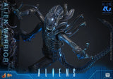 PRE-ORDER: Hot Toys Aliens: Alien Warrior Sixth Scale Figure - collectorzown