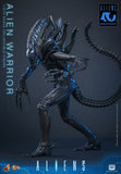 PRE-ORDER: Hot Toys Aliens: Alien Warrior Sixth Scale Figure - collectorzown