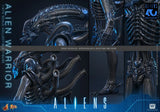PRE-ORDER: Hot Toys Aliens: Alien Warrior Sixth Scale Figure - collectorzown