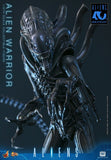 PRE-ORDER: Hot Toys Aliens: Alien Warrior Sixth Scale Figure - collectorzown