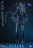 PRE-ORDER: Hot Toys Aliens: Alien Warrior Sixth Scale Figure - collectorzown