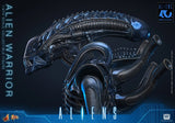 PRE-ORDER: Hot Toys Aliens: Alien Warrior Sixth Scale Figure - collectorzown