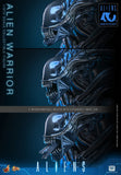 PRE-ORDER: Hot Toys Aliens: Alien Warrior Sixth Scale Figure - collectorzown