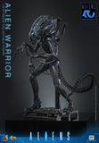 PRE-ORDER: Hot Toys Aliens: Alien Warrior Sixth Scale Figure - collectorzown