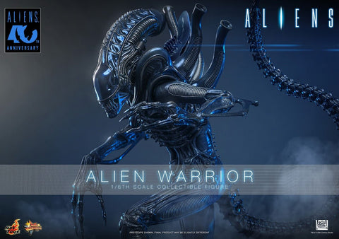 PRE-ORDER: Hot Toys Aliens: Alien Warrior Sixth Scale Figure - collectorzown