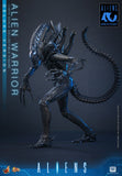 PRE-ORDER: Hot Toys Aliens: Alien Warrior(Deluxe Version) Sixth Scale Figure - collectorzown