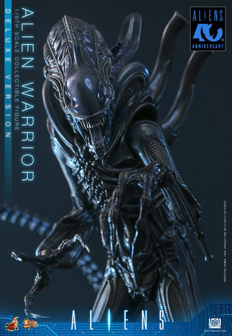 PRE-ORDER: Hot Toys Aliens: Alien Warrior(Deluxe Version) Sixth Scale Figure - collectorzown