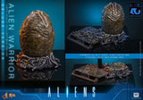 PRE-ORDER: Hot Toys Aliens: Alien Warrior(Deluxe Version) Sixth Scale Figure - collectorzown