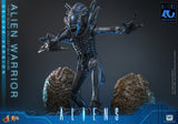 PRE-ORDER: Hot Toys Aliens: Alien Warrior(Deluxe Version) Sixth Scale Figure - collectorzown